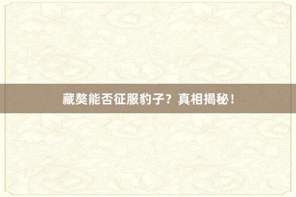 藏獒能否征服豹子？真相揭秘！
